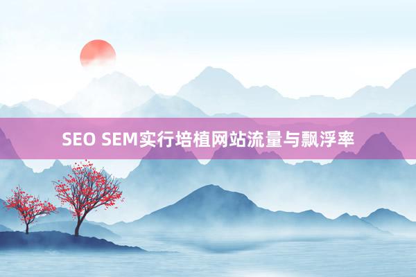 SEO SEM实行培植网站流量与飘浮率