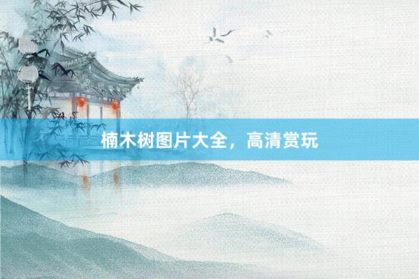 楠木树图片大全，高清赏玩