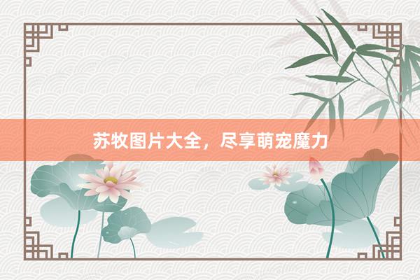 苏牧图片大全，尽享萌宠魔力