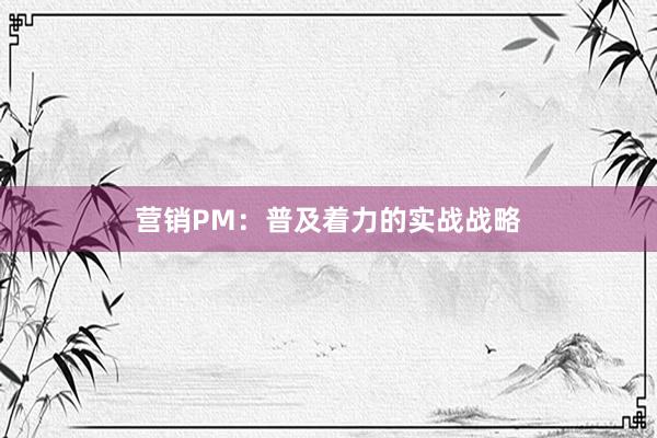 营销PM：普及着力的实战战略